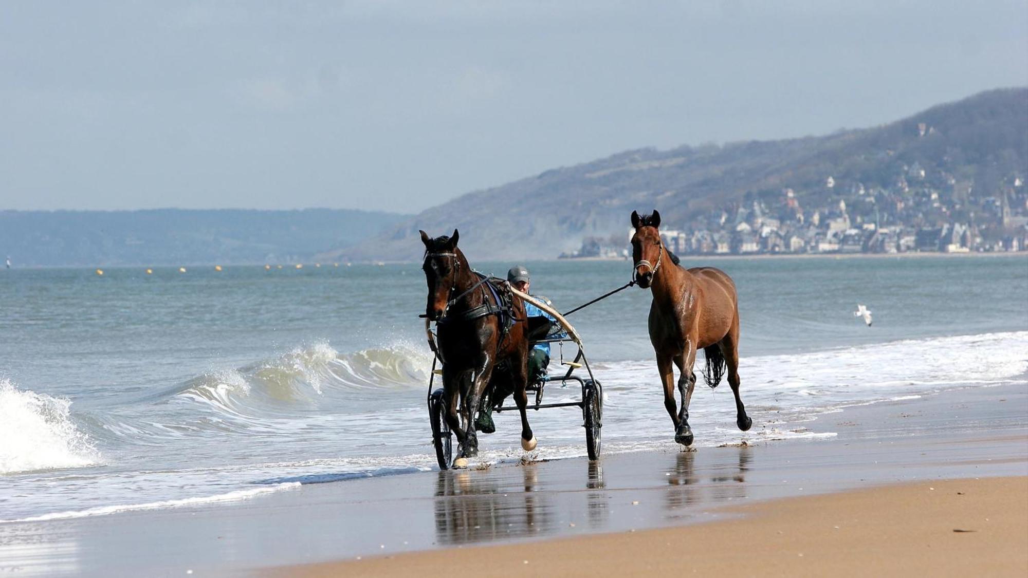 Apartment Calme Et Arboree Proche De La Cabourg